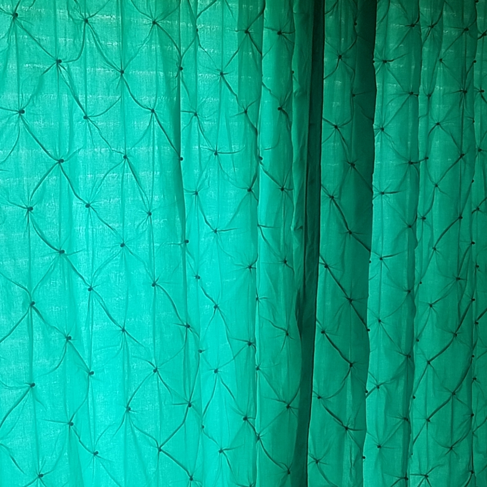 Two 84" Z Gallerie Drapery Panels